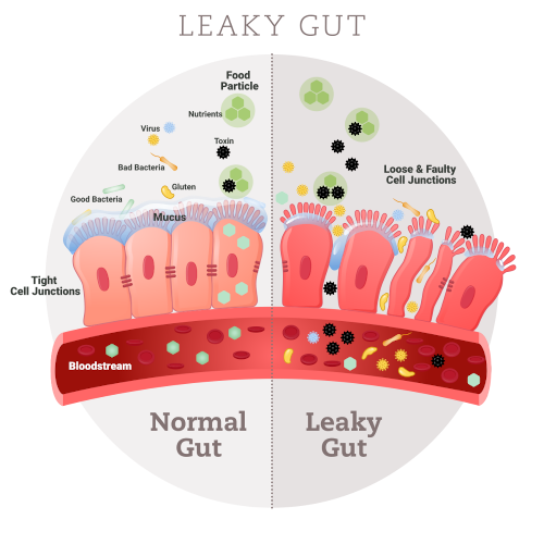 Upraveno podle: https://richmondfunctionalmedicine.com/foodandmood/